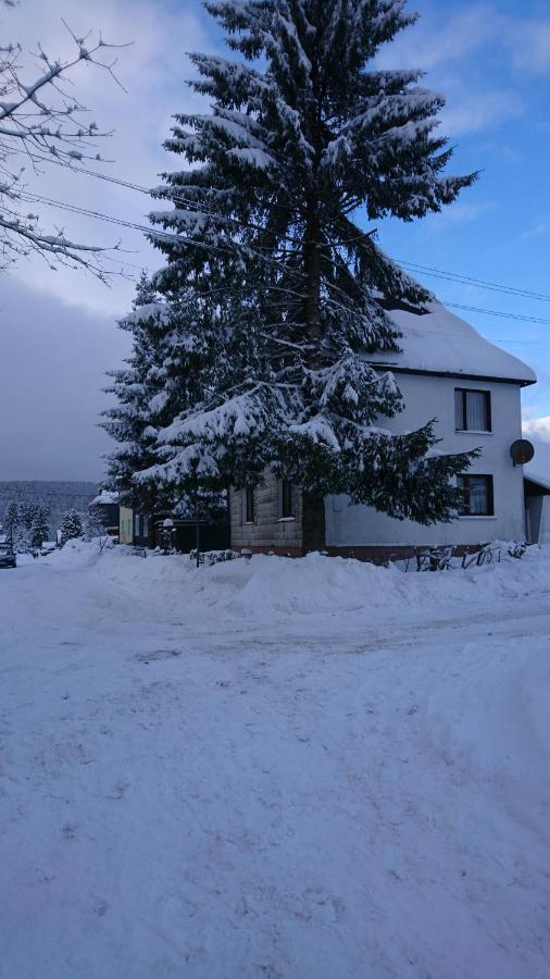 Apartament Haus Hasenmueller Schmiedefeld am Rennsteig Zewnętrze zdjęcie